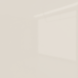 F025 Porsche Grey High Gloss